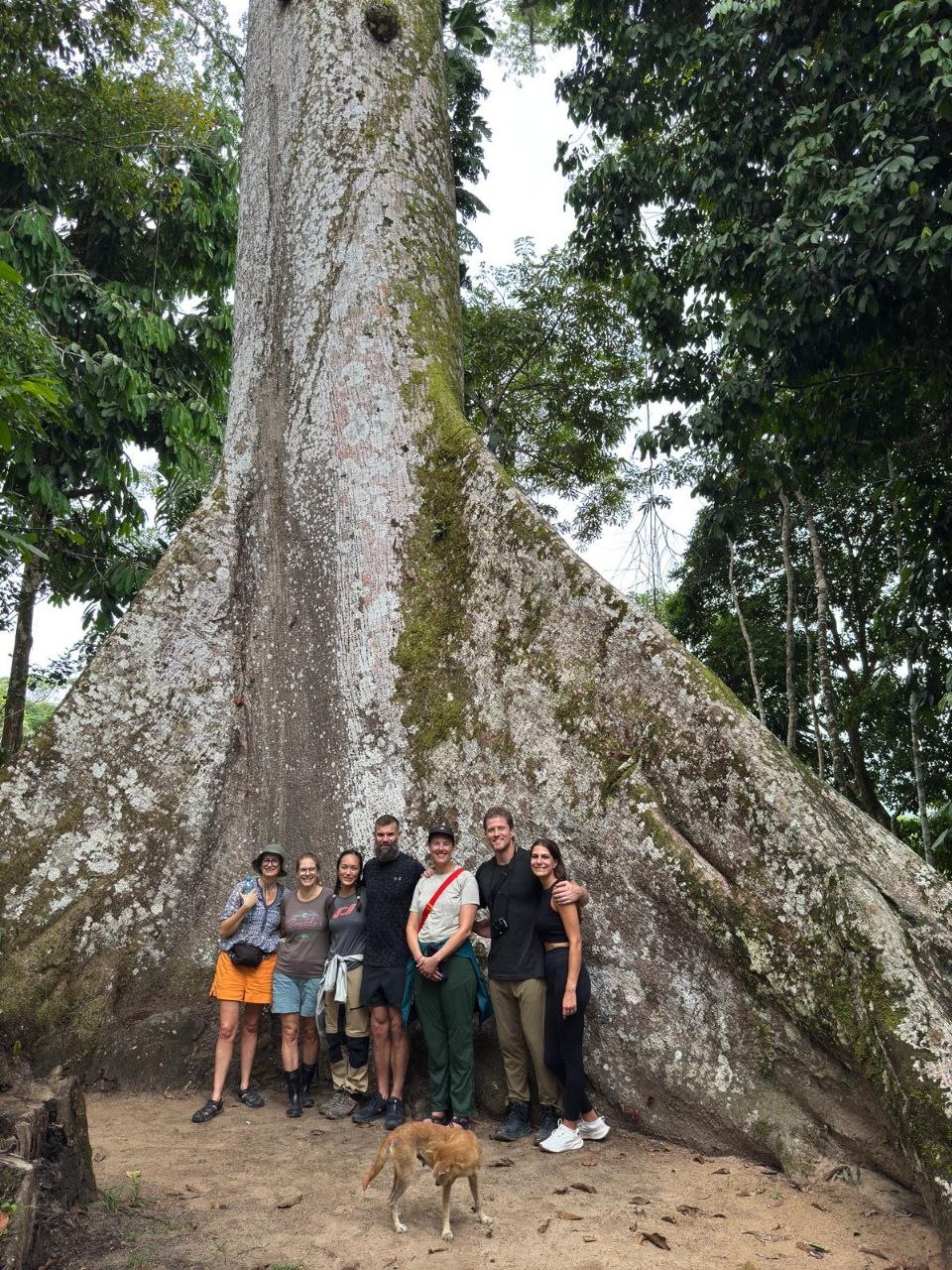 Paseo por el Amazonas